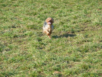 Jonáš 3 roky .Postrach celé vesnice