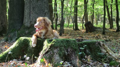 20121006 IMG_3766.JPG