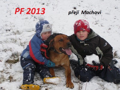 PC230010 (800x600).jpg