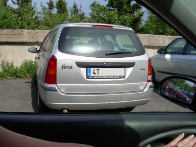 Danistova střibřenka