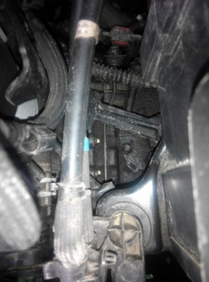 IMG_20141026_120242 (475x640).jpg