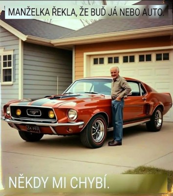 Mustang vs žena.jpg