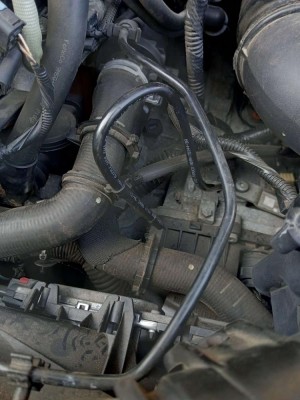 20250603_175850 (1).jpg