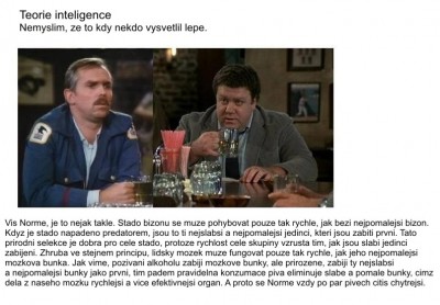 teorie_inteligence[1].jpg