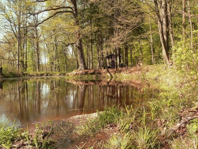 Kvapilovo jezírko.jpg