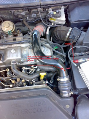 Prosím o potvrzení či vyvrácení mojí teorie bo su lama