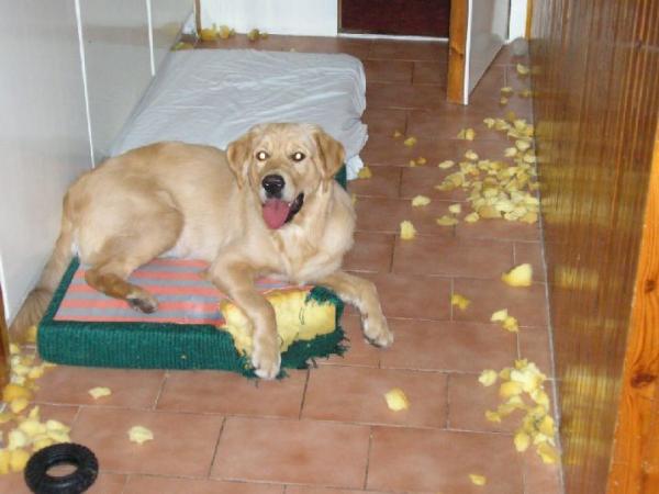 jooo matrace a stene ...