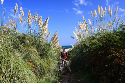 Ille de Bréhat 3.JPG