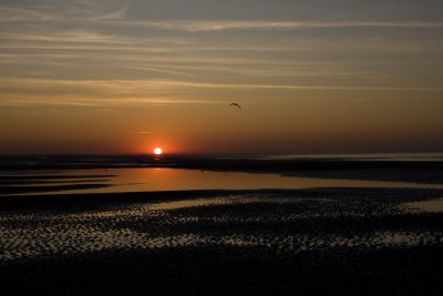 zapad slunce na kvetinovem pobrezi.jpg