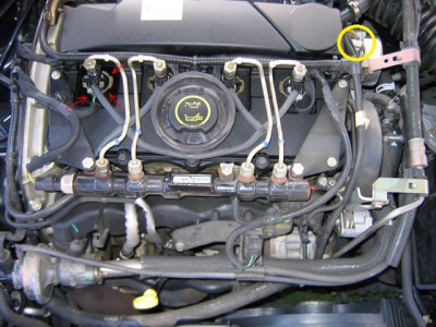 Omlovám se m.a.t.y ze jsem ti vzal tvoji fotku.