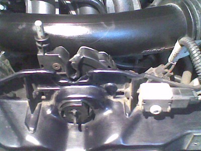 Celkový pohled - bez tyčinky(mobilem)