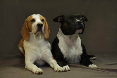 nevinnejsi ako kamos Bigl!:-)