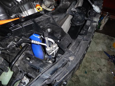 P1210948 (Medium).JPG