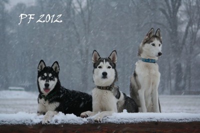 PF 2012.jpg